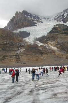 20060808 - 67 Columbia Icefields