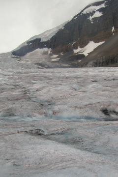 20060808 - 68b Columbia Icefields