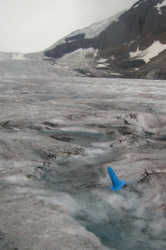 20060808 - 73 Columbia Icefields